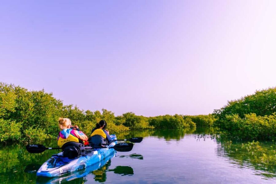 Doha: Private Purple Island Mangroves Kayaking Adventure - Kayaking the Al Thakira mangroves: wildlife without the crowds