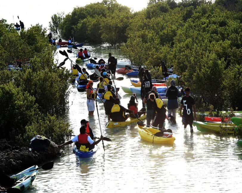 Doha: Private Purple Island Mangroves Kayaking Adventure - Transportation and logistics: private group comfort from start to finish