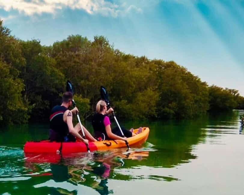 Doha: Private Purple Island Mangroves Kayaking Adventure - What it feels like overall: a nature break that still has structure