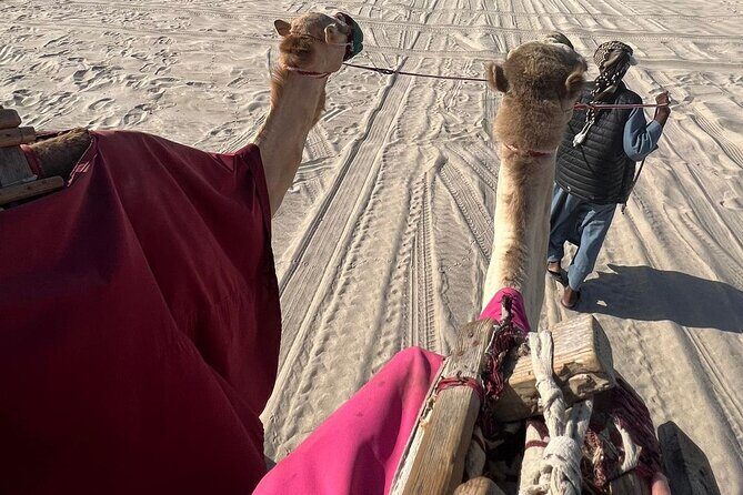 Doha Qatar ATV Quad Bike Buggy Dune Bashing and Camel Ride - Dune bashing near Sealine Beach: sandboarding chances and photo points