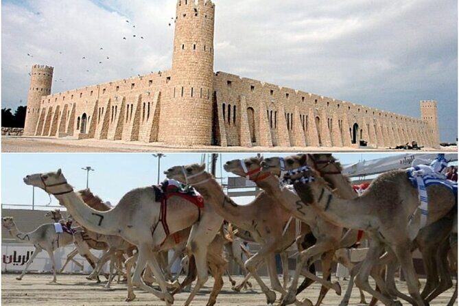 Doha, Qatar: Came Racing Track, Oryx & Sheikh Faisal Museum Tour. - Ahmad Bin Ali Stadium: Qatar-inspired patterns, not just a generic facade