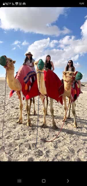 Doha Qatar : sealine adventure Camel Ride sandboard Sunset - The Main Trade-Offs to Decide Before You Book