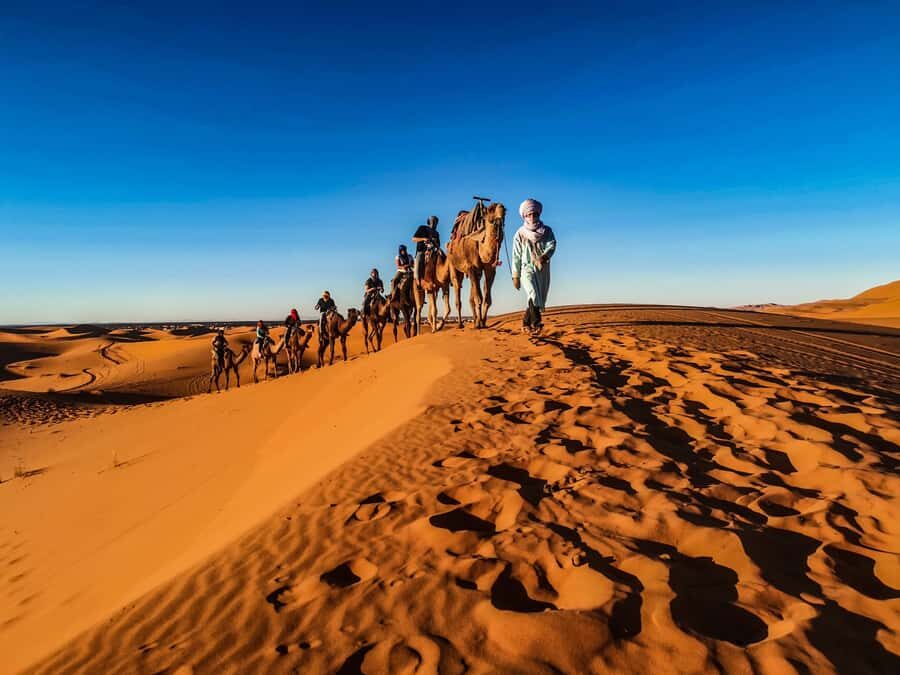 Doha: Quad Bike, Dune Bashing, Camel Ride & Inland Sea Tour - What I think you’ll get for $23: value that’s activity-packed