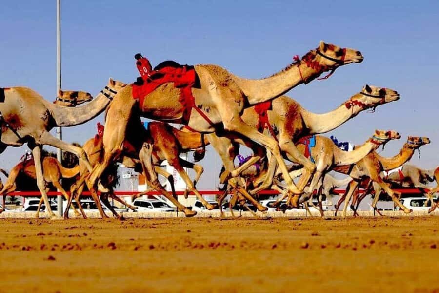 Doha: Richard Serra Sculpture, Zekreet and West Coast Tour - The Zekreet Transit: Why the Ride Time Helps