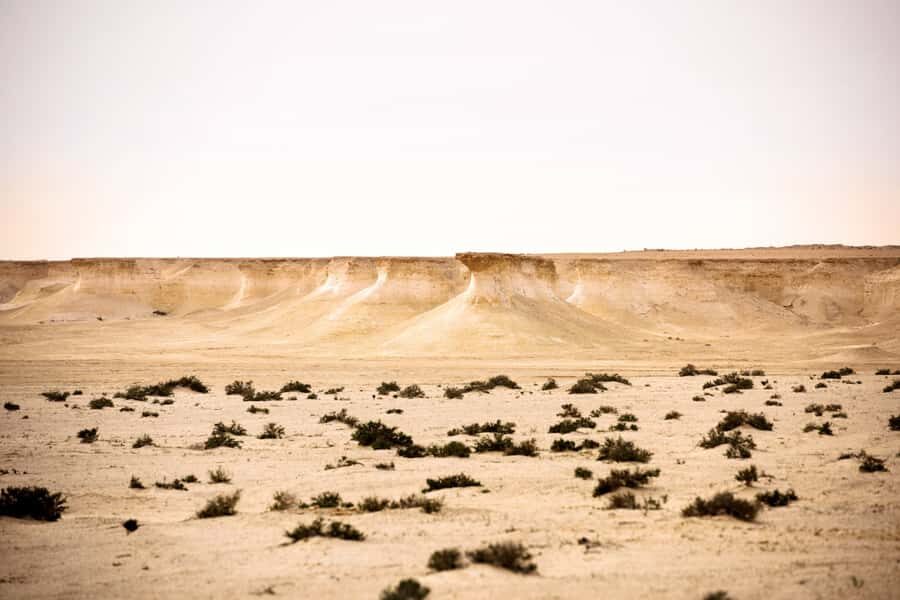 Doha: Richard Serra Sculpture,Mushroom Hill,Camel Race Track - Who should book this tour, and who should skip it