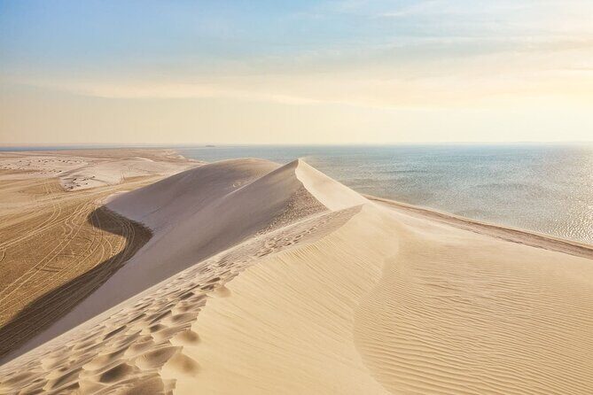Doha Safari Adventures, Dune Bashing, Sand Buggy, Camel Ride Tour - From Doha to the Sand: Getting There Without the Hassle