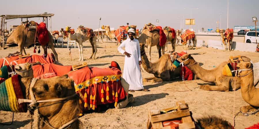 Doha: Safari, Camel Ride, Sandboarding and Inland Sea Tour - Inland Sea Time: Photos, Sightseeing, and Swimming Break