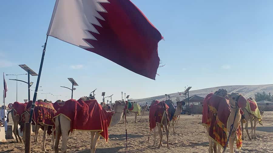 Doha: Safari | Inland Sea Tour | Camel Ride | Sandboarding - Doha Pickup to Desert Drive: How the Timing Works