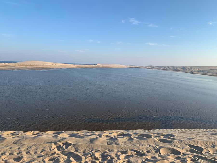Doha: Safari | Inland Sea Tour | Camel Ride | Sandboarding - Dune Bashing in a 4x4: The Thrill, the Trade-Off