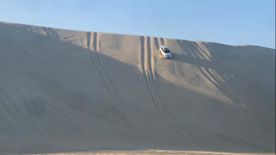 Doha: Safari | Inland Sea Tour | Camel Ride | Sandboarding - Sealine Beach (Mesaieed): Camel Ride and Photo Breaks