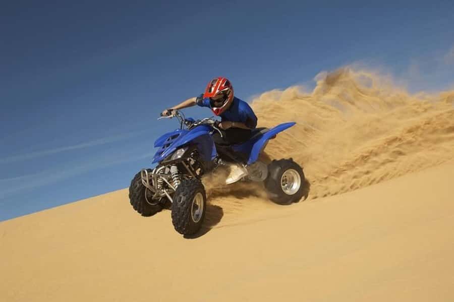 Doha Safari Quadbike, CamelRide, Sandboarding & Inland Sea - The Camel Area Stop: Tea, Photos, and a Traditional Touch