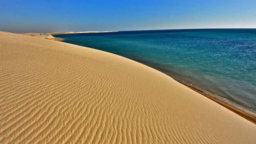 Doha Safari Quadbike, CamelRide, Sandboarding & Inland Sea - Quad Bikes on a Dedicated Track: The Part People Talk About