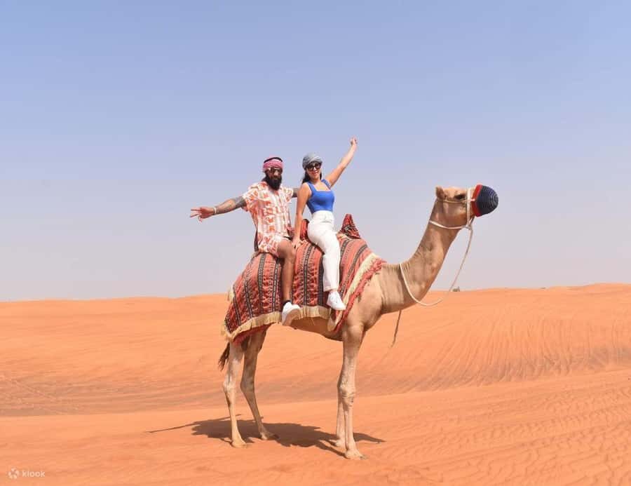 Doha Safari Quadbike, CamelRide, Sandboarding & Inland Sea - Price and Value: What $21 Really Buys You