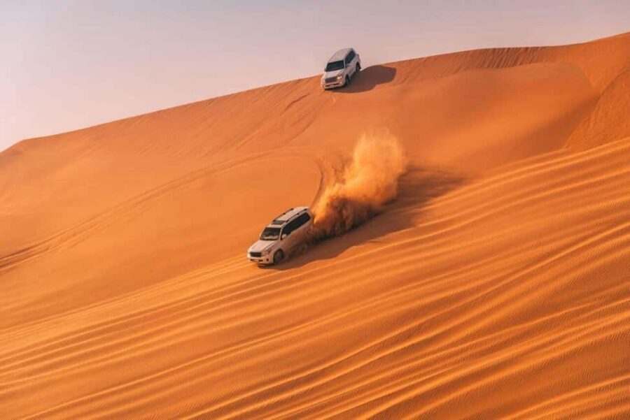 Doha Safari with Camel Ride, Inland Sea & Hotel Transfer - Key Things I’d Bet You’ll Remember