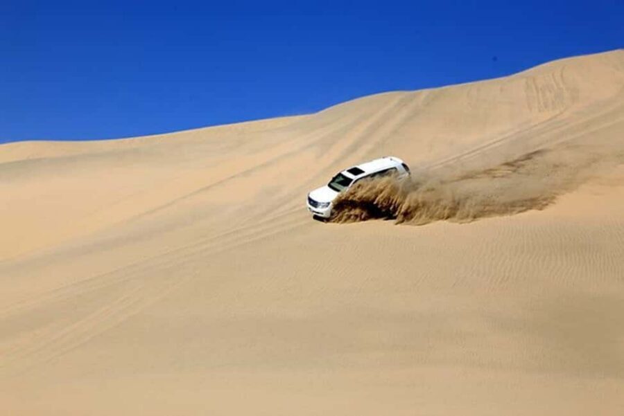 Doha Safari with Camel Ride, Inland Sea & Hotel Transfer - Dune Bashing in 4x4 Vehicles: The Thrill Portion