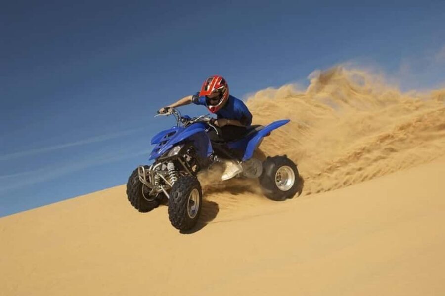 Doha Safari with Camel Ride, Inland Sea & Hotel Transfer - Included Extras That Make the Safari Feel Better Value
