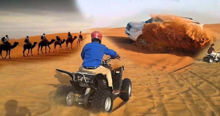 Doha Safari with Camel Ride, Inland Sea & Hotel Transfer - Price and Logistics: Is $29 a Good Deal?