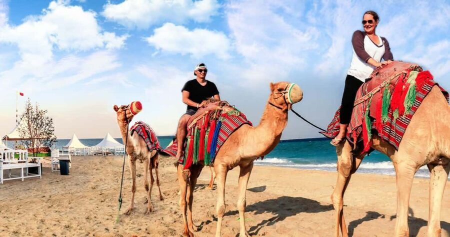 Doha Safari with Camel Ride, Inland Sea & Hotel Transfer - Who This Safari Fits Best (And Who Should Rethink It)