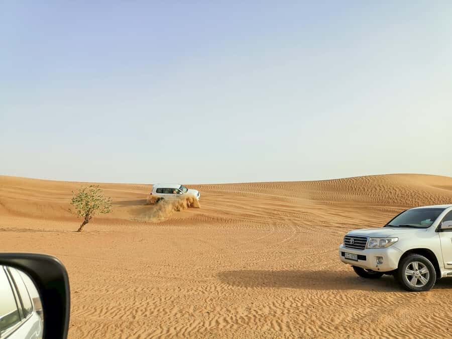Doha: Shared Desert Safari, Sandboarding, Camel Ride - Why This Doha Desert Safari Feels Like Real Qatar
