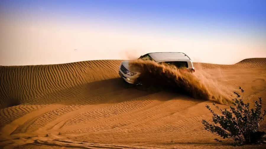 Doha: Shared Desert Safari, Sandboarding, Camel Ride - Dune Bashing: The Main Event You’ll Actually Remember
