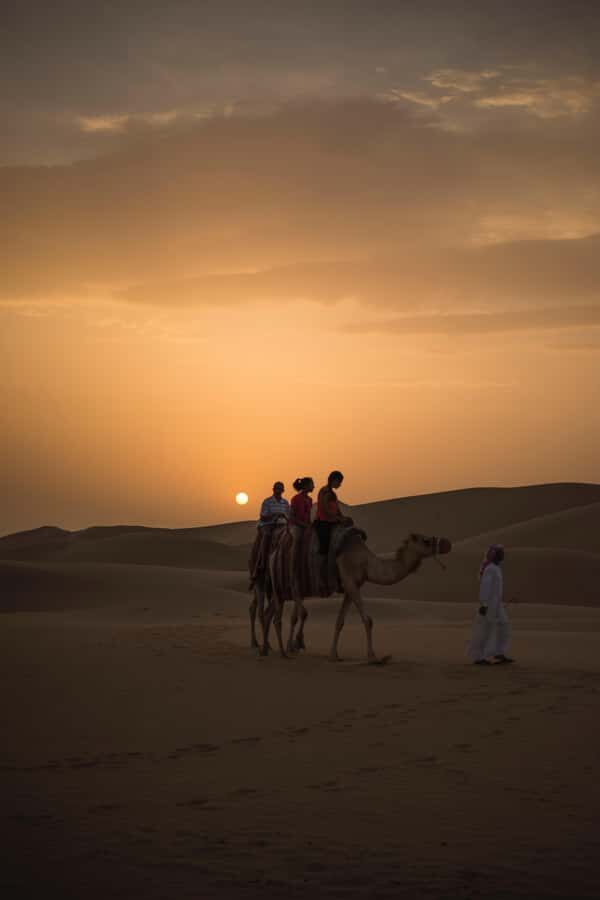Doha: Shared Desert Safari, Sandboarding, Camel Ride - Camel Ride: Included Is the Dune Fun, Not the Camel