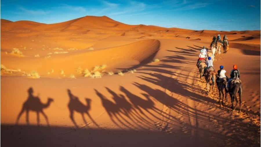 Doha: Shared Desert Safari, Sandboarding, Camel Ride - Sunset Timing: Short, Simple, and Often Beautiful