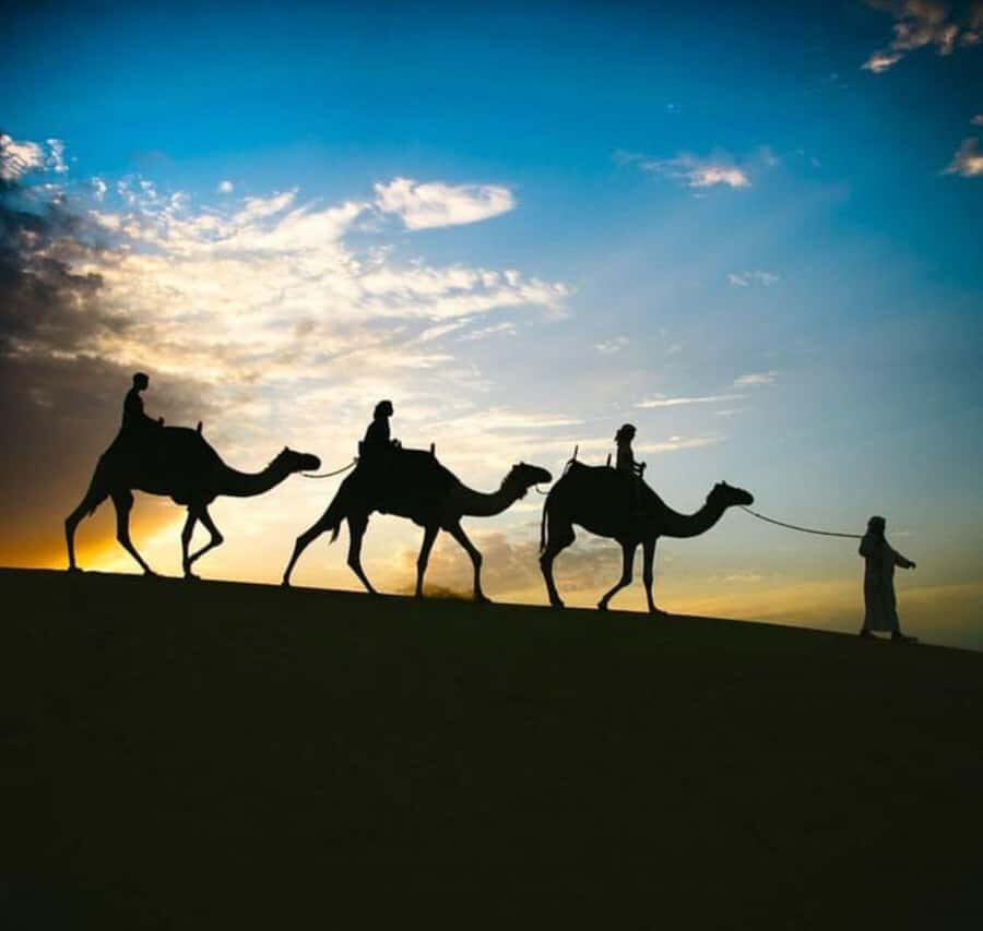 Doha: Stargazing Desert Safari w/ Dune Bashing & Camel Ride - Key highlights you’ll feel right away