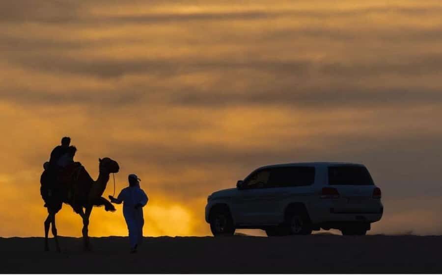 Doha: Stargazing Desert Safari w/ Dune Bashing & Camel Ride - Doha to the dunes: what the 4 hours really looks like