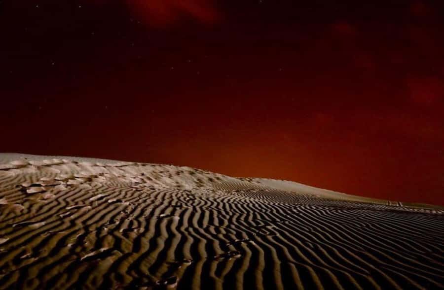 Doha: Stargazing Desert Safari w/ Dune Bashing & Camel Ride - Included perks and what you’ll need to bring