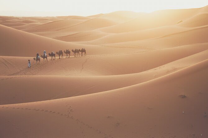 Doha Sunrise Desert Safari Tour| Dune Bashing| Inland Sea visit| Camel Riding - Sunrise in the Desert: Getting the Best Light Without Overheating