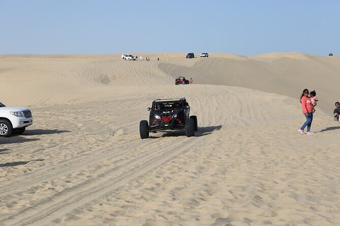 Doha; Sunrise Desert Tour and camel safari 4hrs - The 3:30 AM timing and what it means for you