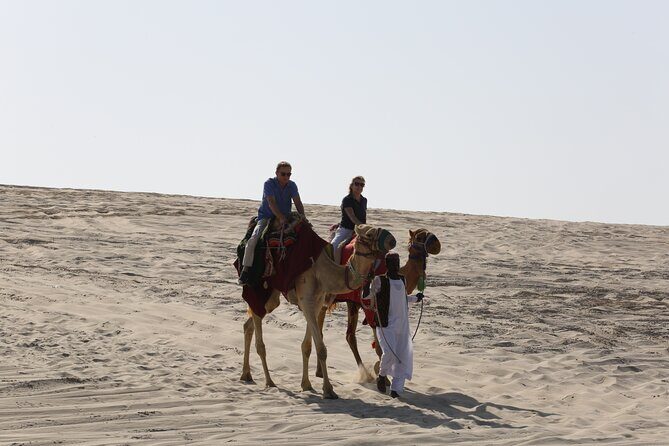 Doha; Sunrise Desert Tour and camel safari 4hrs - Inland Sea and Gulf-side time: sunrise beauty plus a sea dip