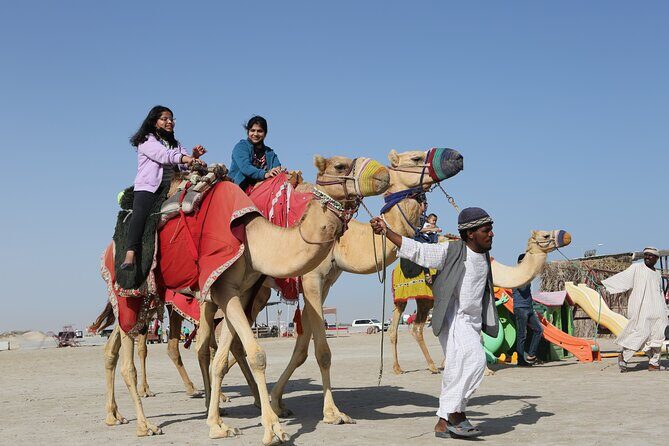 Doha; Sunrise Desert Tour and camel safari 4hrs - Falcon exposure: a memorable cultural add-on