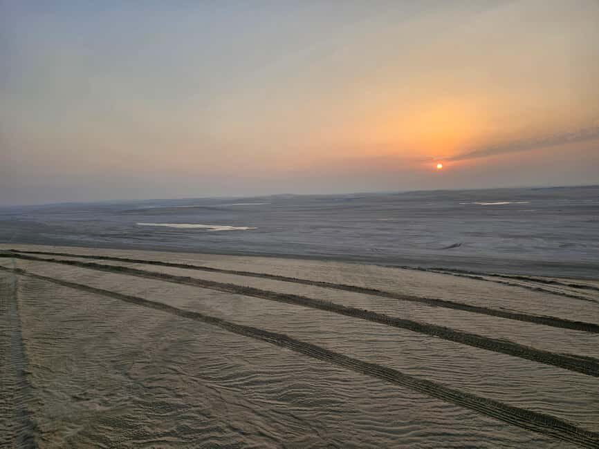 Doha Sunrise/Sunset or Night Stargazing desert safari. - Doha night desert safari: what makes it worth your evening