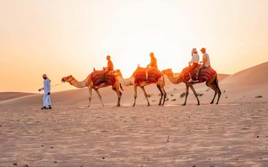 Doha: Sunset Desert Safari with Camel Ride & Sandboarding - Doha Sunset Desert Safari: adrenaline, then golden-hour calm