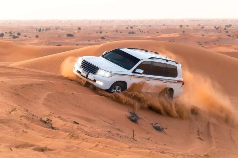 Doha Sunset or Sunrise Desert Safari, Camel Ride, Inland Sea - Key Things To Know Before You Go