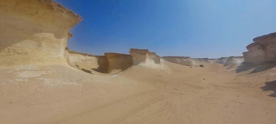 Doha: West Coast Qatar Tour, Sculptures, Camel Racing track - What You’ll Learn (Without Feeling Like a Lecture)