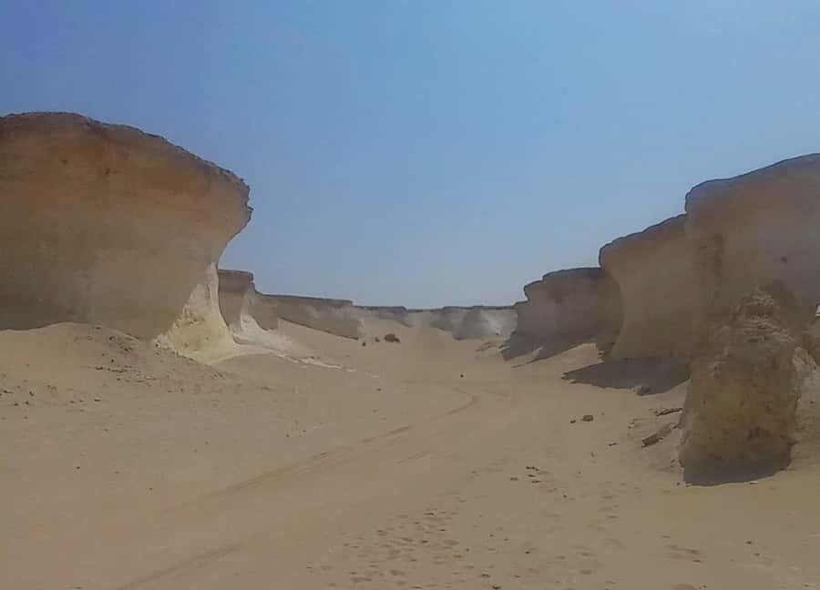 Doha: West Coast Qatar Tour, Sculptures, Camel Racing track - Who Should Book This Tour (And Who Might Want a Different Plan)