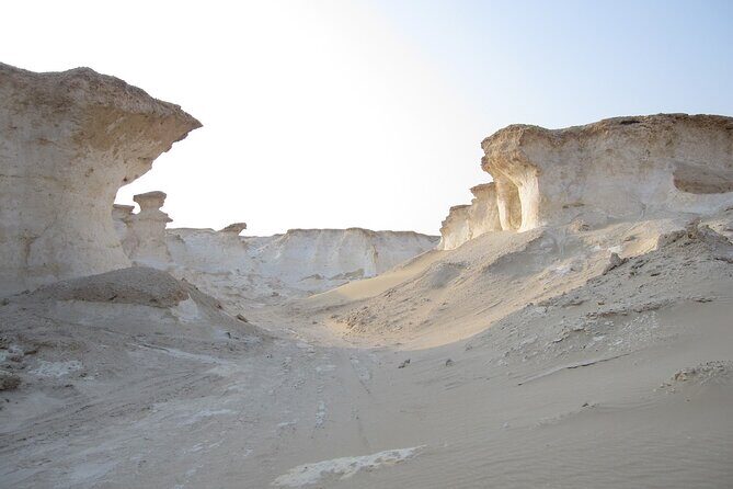 Doha : West Coast Tour on Zekreet Peninsula - Price and time: why $75 can be a smart deal for the west coast
