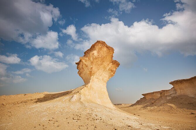 Doha : West Coast Tour on Zekreet Peninsula - Who this tour suits best