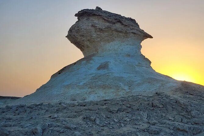 Doha : West Coast Tour on Zekreet Peninsula - Stop 1: Al Shahaniya Racetrack and the show behind Qatar’s camel racing