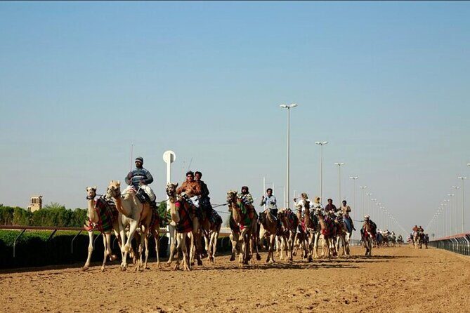 Doha: West Coast Tour Sculpture,Camel Racing Track Rock Formation - From Doha to Ash-Shahaniyah: the camels and the desert drive
