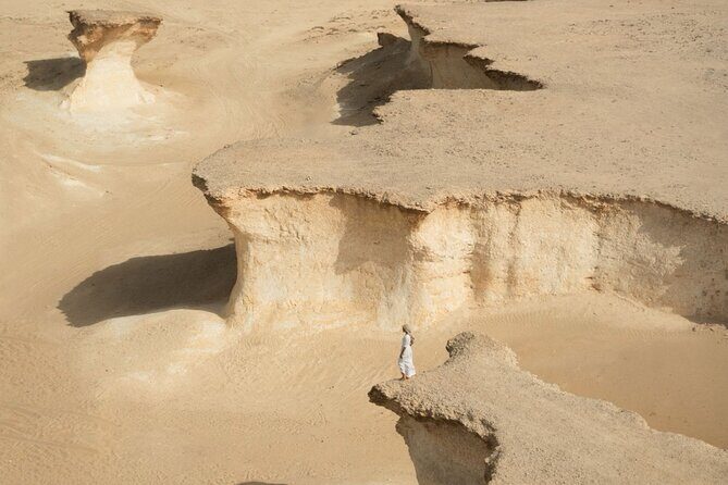 Doha: West Coast Tour Serra and Mushroom Rocks - Al Shahaniya Racetrack: Camel training views without the crowds