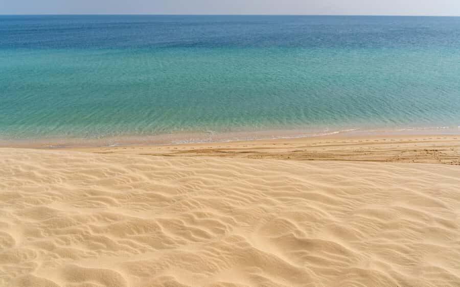 Doha:Private Desert Safari, Falcon, Sandboarding,inland sea - Private Group Comfort: How the Guide Impacts the Whole Day
