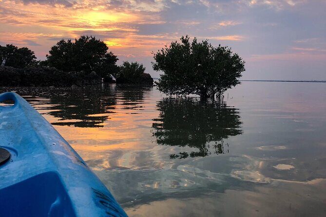 Eco Kayaking Adventure – Mangrove Exploration at Purple Island - Quick hits before you go