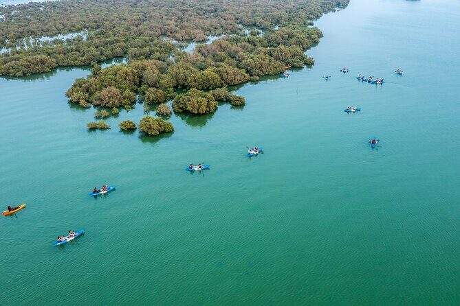 Eco Kayaking Adventure – Mangrove Exploration at Purple Island - Timing and schedules: pick the slot that fits your heat tolerance