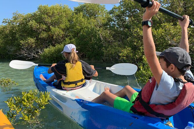 Eco Kayaking Adventure – Mangrove Exploration at Purple Island - Getting there from Doha without making your day stressful