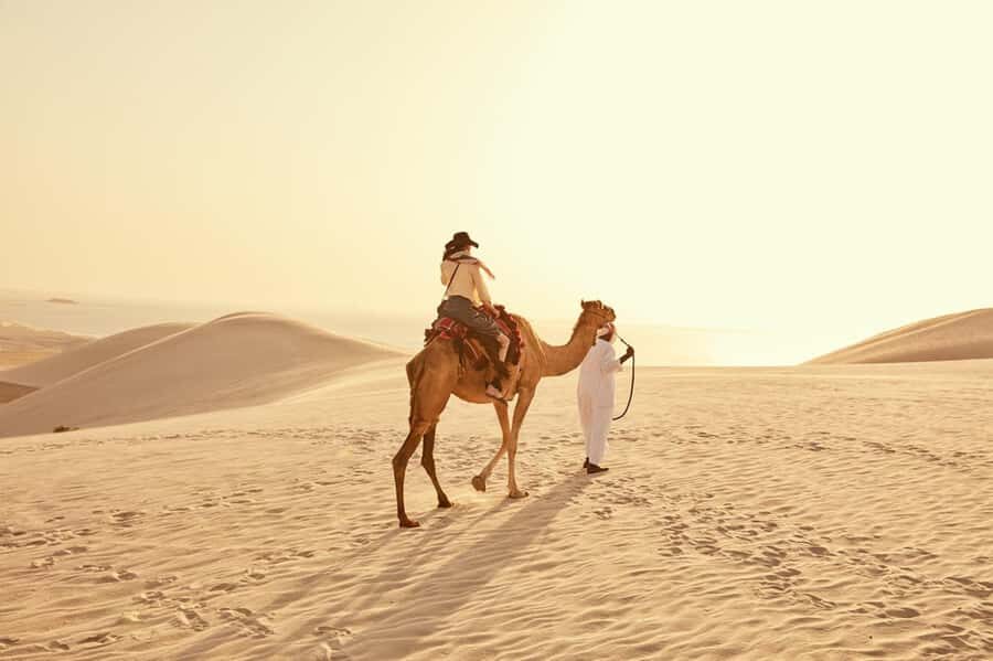 Explore desert Qatar: Off-Road Adventures, dune bashing Tour - Who Should Book This Desert Track Safari (and Who Should Skip It)