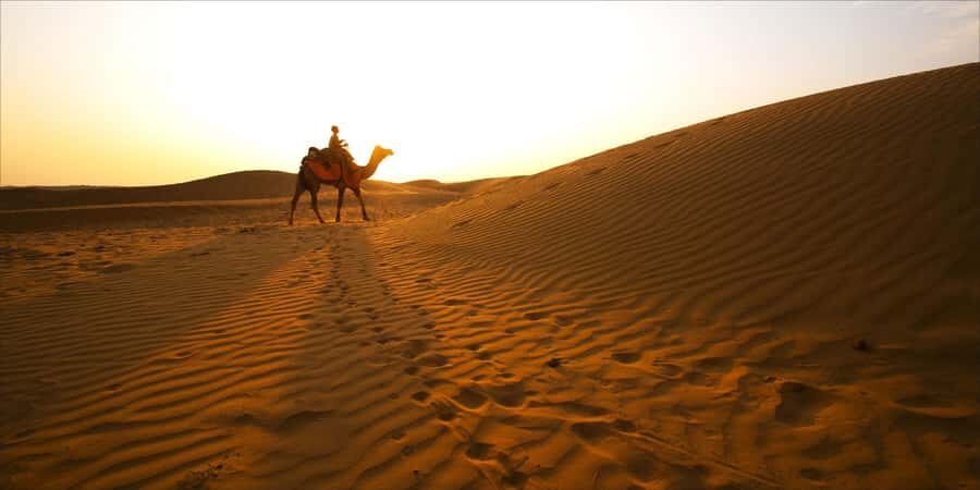 From Doha: 8-hour Safari Tour with Desert Beach Experience - The 4x4 dune bashing segment: fun, photos, and safety in motion