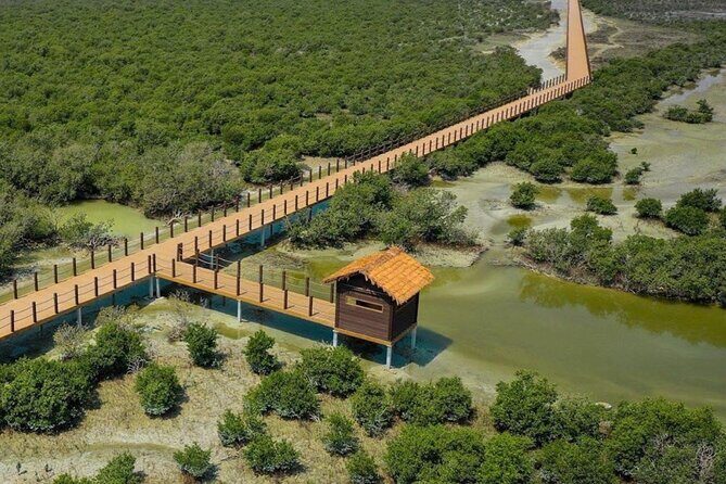From Doha: North of Qatar Guided Tour with Transfers - Purple Island Mangroves: Kayaks, Trails, and a Path Between Worlds